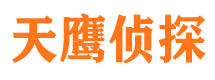 武义市调查公司